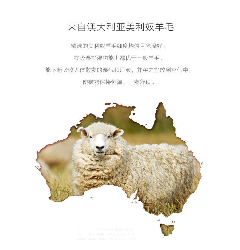 澳大利亚jaspaherington纯美利奴超细羊毛可机洗冬被500gsm200x230cm