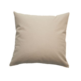 芬兰原产Lennol 靠垫抱枕含枕芯 西奥