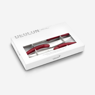 法国原产DEGLON西莱士不锈钢牛排刀精装六件套 西餐刀