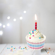 英国原产Tala杯子蛋糕烘焙模具纸模6只装