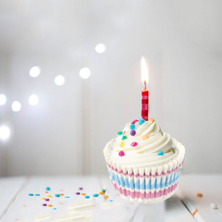 英国原产Tala杯子蛋糕烘焙模具纸模6只装