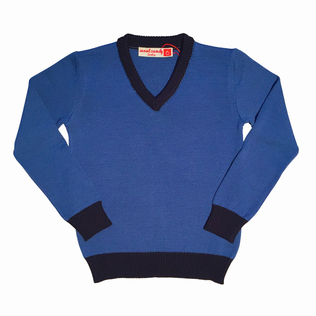 德国原产wool candy莫里茨V领针织衫