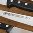 西班牙原产ARCOS不锈钢厨房刀削皮刀切片刀 黑色