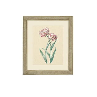 英国原产brookspace现代居家装饰画玻璃挂画 郁金香 I