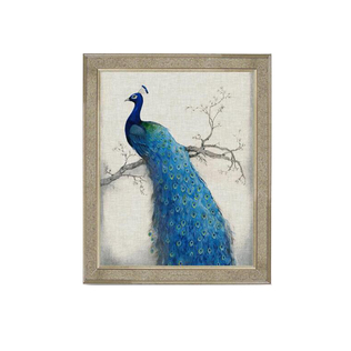 英国原产brookspace现代居家背景装饰画玻璃挂画 孔雀II