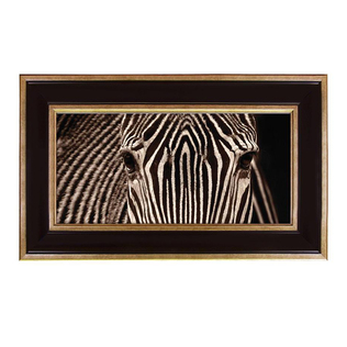 英国原产brookspace现代居家背景装饰画玻璃挂画 斑马