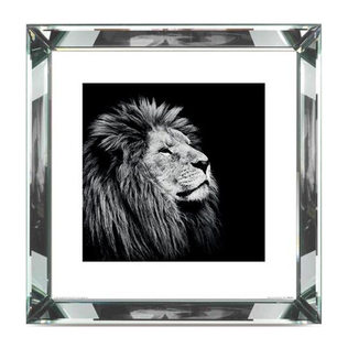 英国原产brookspace现代居家背景装饰画玻璃挂画 陛下