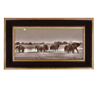 英国原产brookspace现代居家装饰画玻璃挂画 草原之象