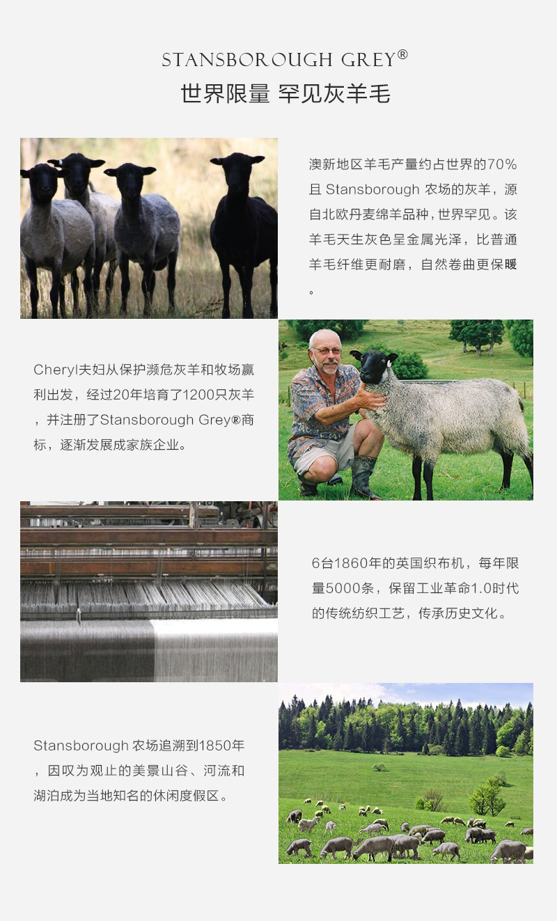 新西兰Stansborough指环王系列灰羊毛针织披肩盖毯金银丝 银灰