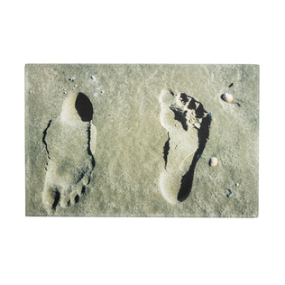 德国原产AKZENTE Gallery系列地毯脚垫门厅垫 脚印