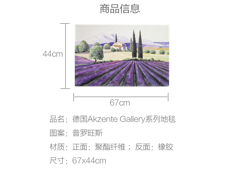 德国原产AKZENTE Gallery系列地毯脚垫门厅垫 普罗旺斯 彩色