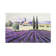 德国原产AKZENTE Gallery系列地毯脚垫门厅垫 普罗旺斯