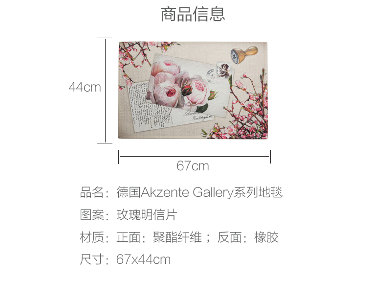 德国原产AKZENTE Gallery系列地毯脚垫门厅垫 玫瑰明信片 彩色