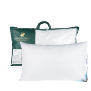 德国原产HANSKRUCHEN三维羽绒枕鸭绒枕280TBAYERN系列