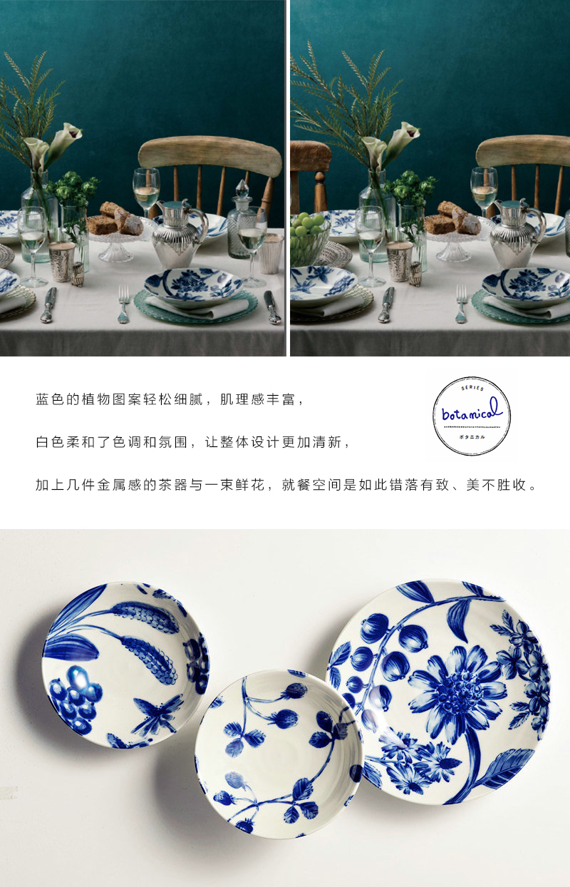 日本原产AITO Botanical美浓烧陶瓷餐盘早午晚餐盘5件套 蓝白