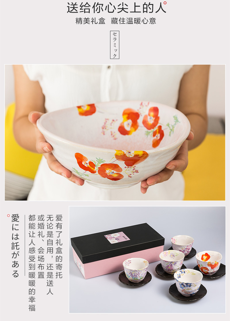 日本原产AITO抚松庵系列美浓烧陶瓷茶杯托茶具5件套 彩色