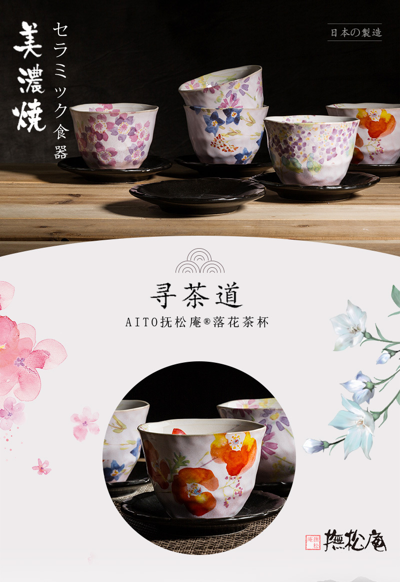 日本原产AITO抚松庵系列美浓烧陶瓷茶杯托茶具5件套 彩色