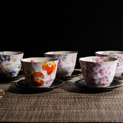 日本原产AITO抚松庵系列美浓烧陶瓷茶杯托茶具5件套 彩色