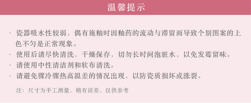 日本原产AITO Nordic Flower美浓烧陶瓷盘点心碟5件套装 彩色