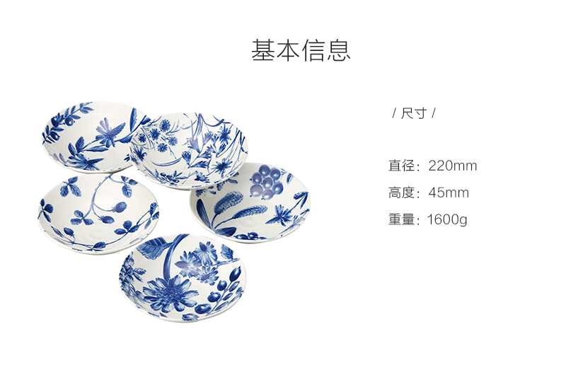 日本原产AITO Botanical美浓烧陶瓷餐盘早午晚餐盘5件套 蓝白