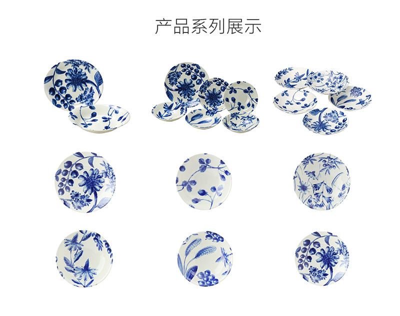 日本原产AITO Botanical美浓烧陶瓷餐盘早午晚餐盘5件套 蓝白