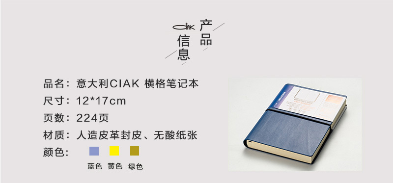 意大利原产CIAK横格笔记本 绿色