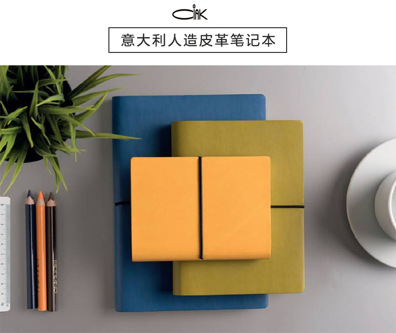 意大利原产CIAK每周垂直计划+横格笔记本记事本记录本 粉红