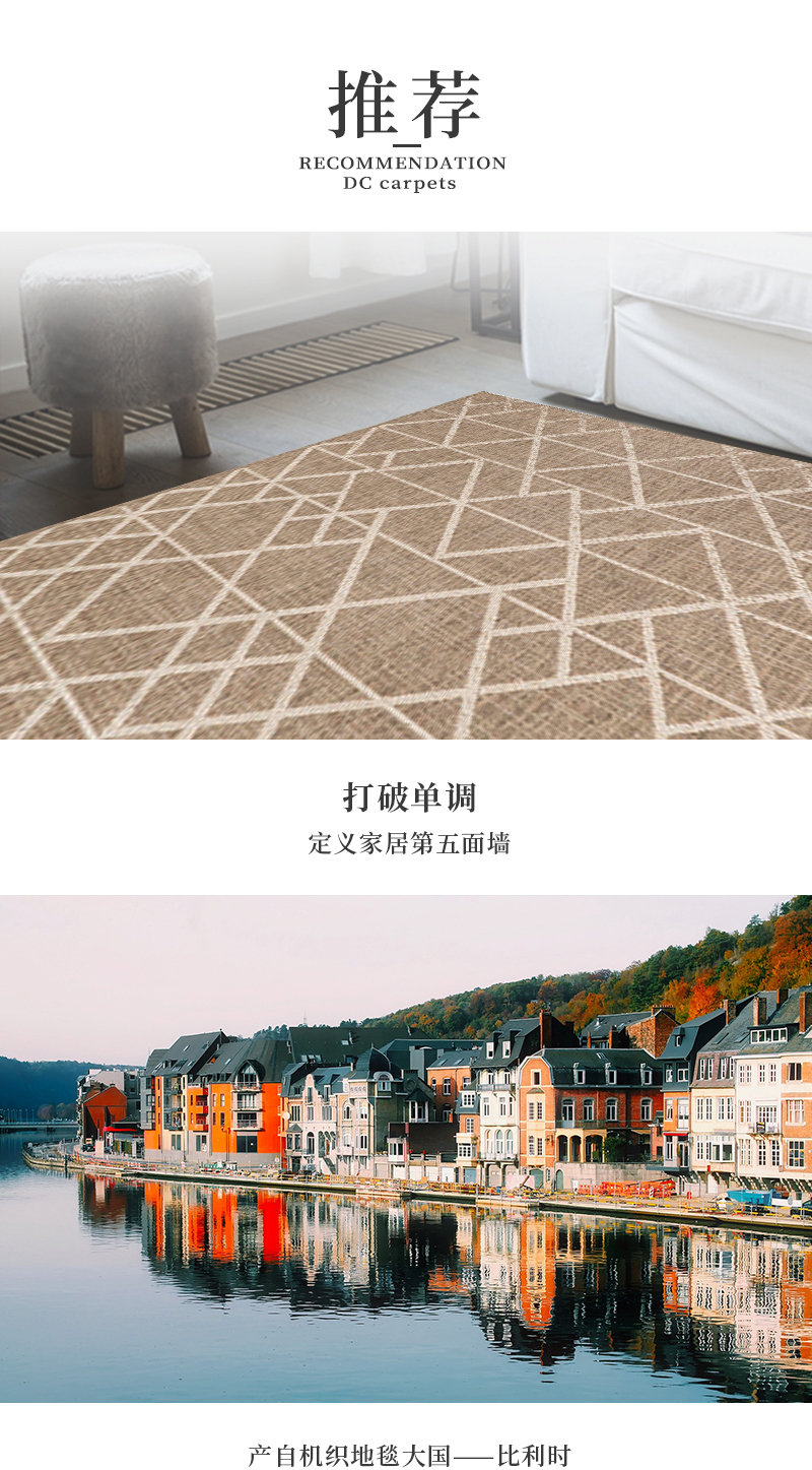 比利时DC carpets纺丝地毯机织地毯地垫floorlux系列 银灰色 S  120*170cm