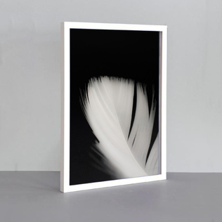 瑞典原产Details by M.摄影装饰画植物挂画--Lightness