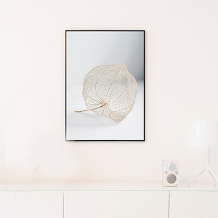 瑞典原产Details by M.摄影装饰画植物挂画--Skir