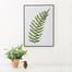 瑞典原产Details by M.摄影装饰画植物挂画--Green fern 绿色 M