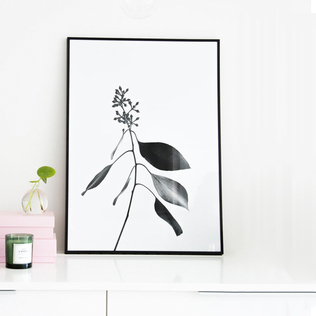 瑞典原产Details by M.摄影装饰画植物挂画--Halcyon