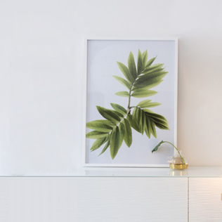 瑞典原产Details by M.摄影装饰画植物挂画--Flamboyance