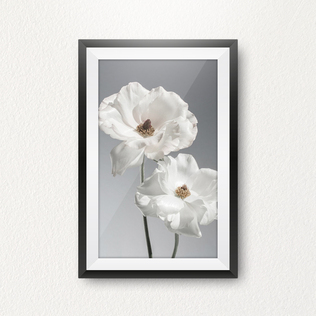 瑞典原产Details by M.摄影装饰画植物挂画-Velvet shine