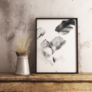 瑞典原产Details by M.摄影装饰画植物挂画-Turning leaf