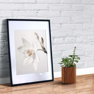 瑞典原产Details by M.摄影装饰画植物挂画--Springtime