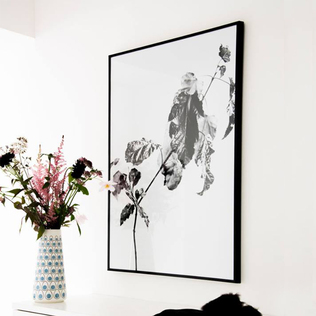 瑞典原产Details by M.摄影装饰画植物挂画-Autumn steel