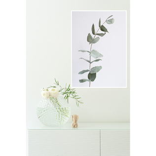 瑞典原产Details by M.摄影装饰画植物挂画--Harmony