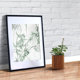 瑞典原产Details by M.摄影装饰画植物挂画-with a twist