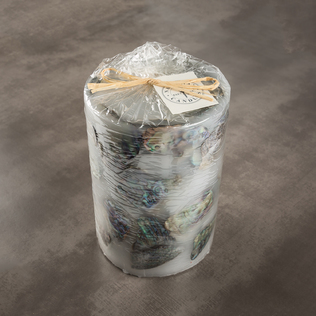 新西兰原产NATIONAL CANDLES鲍鱼壳蜡烛家居装饰蜡烛桌面摆件