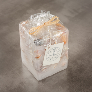 新西兰原产NATIONAL CANDLES贝壳蜡烛家居装饰蜡烛桌面摆件