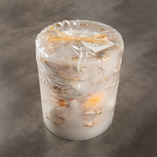 新西兰原产NATIONAL CANDLES贝壳蜡烛家居装饰蜡烛桌面摆件