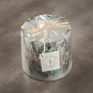 新西兰原产NATIONAL CANDLES鲍鱼壳蜡烛家居装饰蜡烛桌面摆件