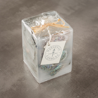 新西兰原产NATIONAL CANDLES鲍鱼壳蜡烛家居装饰蜡烛桌面摆件