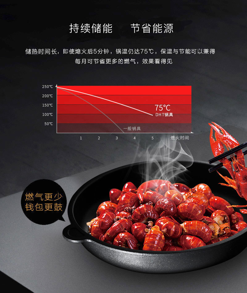 德国原产DHT精铸铝合金Lotan涂层不粘煎锅燃气款28cm送锅盖 黑色