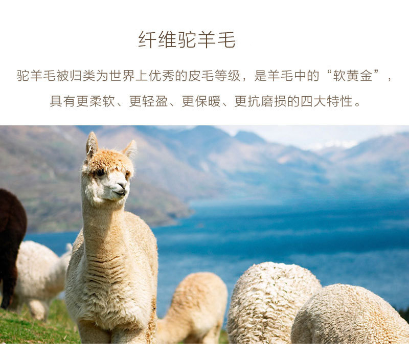 新西兰原产KIWIKNITS 驼羊毛手套冬季 红色 S