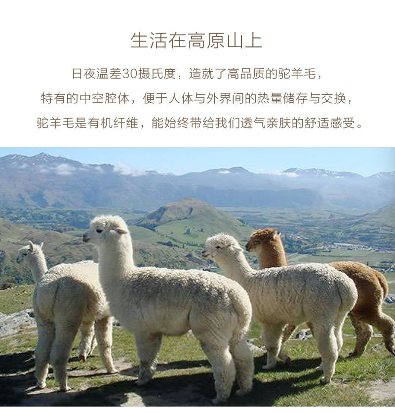 新西兰原产KIWIKNITS 驼羊毛手套冬季 红色 S