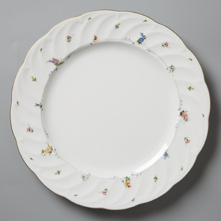 德国原产Seltmann Weiden波纹白底细花陶瓷餐盘西餐具