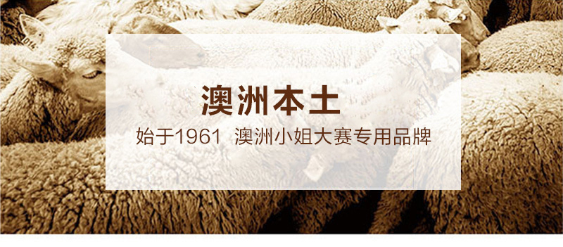 澳洲SHEARERS后蝴蝶结中筒靴舒适保暖雪地靴 酒红 4码（36）