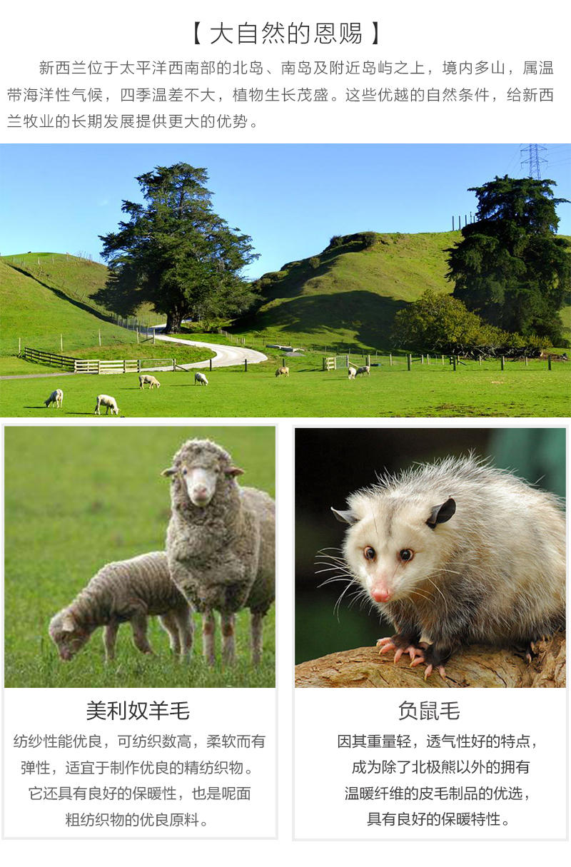 新西兰原产COMFORT SOCKS 羊毛混纺专业运动袜登山徒步袜 中灰 25-27.7cm